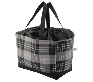 イオンのレジカゴバッグ