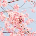 入学祝いのお返しはしないとダメ?非常識と言われないためのマナー