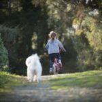 サクッと乗れる!自転車の乗り方を子供に教える時のコツ