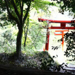 彼女持ちでも諦めない!陰陽師【高橋圭也】のパワーストーンで恋を実らせる!