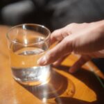 ブリタの水の秘密、なぜ藻が生えるのか?