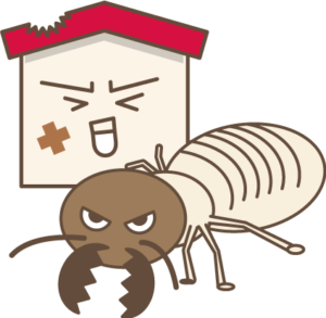 ジョイフル本田のシロアリ駆除料金&コストを下げるためのとっておきの方法