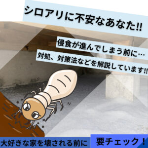 シロアリジェットプロで駆除したつもりはNG!自宅を守る効果的な使い方と全滅させるコツ
