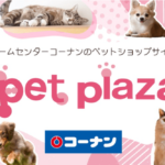 コーナンのペットショップ売れ残りの犬や猫はどうなる?引き取る方法と注意点